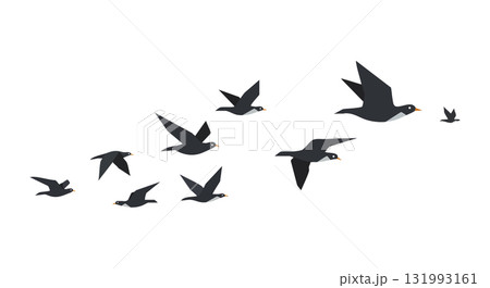 Flying birds silhouette in formation vector illustration natural wildlife scene 131993161