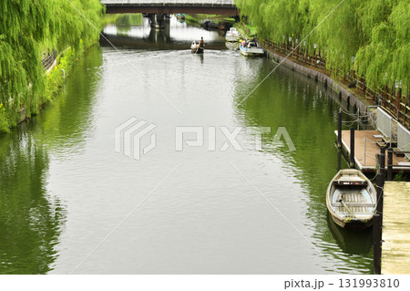 水郷茨城皇帝公園の潮来_04 水郷茨城皇帝公園の潮来_04 131993810