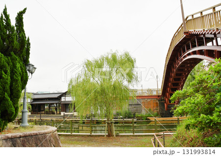 水郷茨城皇帝公園の潮来_08 水郷茨城皇帝公園の潮来_08 131993814