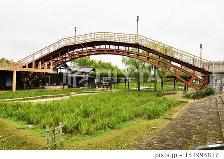 水郷茨城皇帝公園の潮来_12 131993817