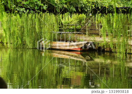 水郷茨城皇帝公園の潮来_13 131993818