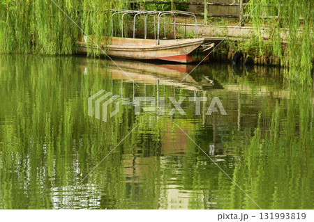 水郷茨城皇帝公園の潮来_14 水郷茨城皇帝公園の潮来_14 131993819