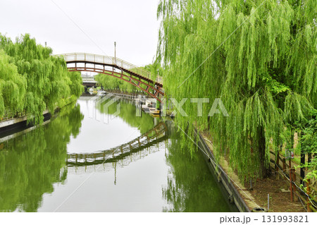 水郷茨城皇帝公園の潮来_16 水郷茨城皇帝公園の潮来_16 131993821