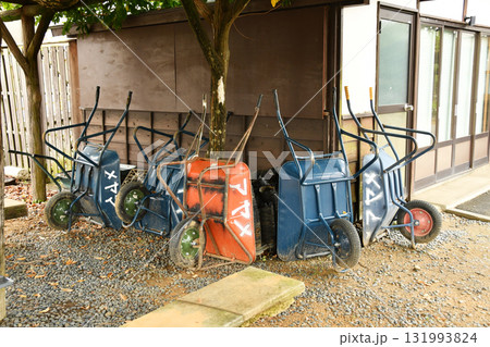 水郷茨城皇帝公園の潮来_19 水郷茨城皇帝公園の潮来_19 131993824