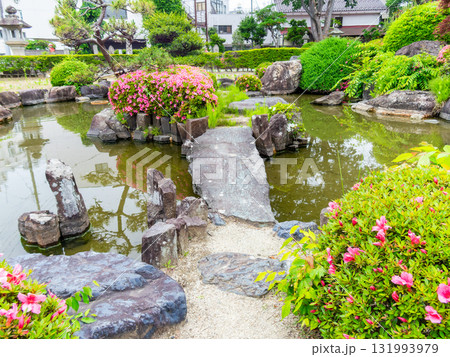 ツツジの咲く庭園の景色 131993979