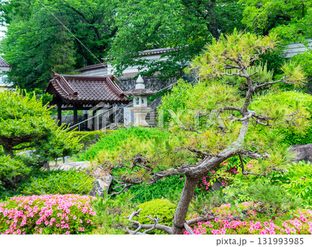 ツツジの咲く庭園の景色 131993985