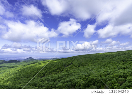 初夏の八甲田 131994249