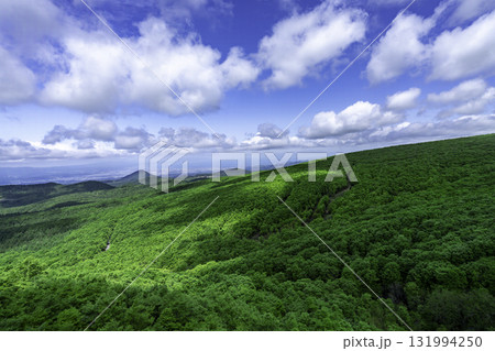 初夏の八甲田 131994250
