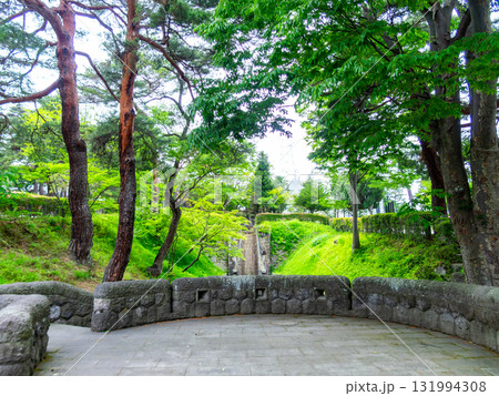 新緑に包まれた安積疏水の景色 131994308