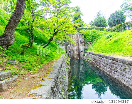 新緑に包まれた安積疏水の景色 131994317