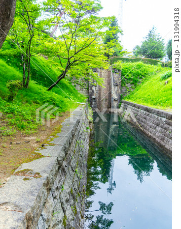 新緑に包まれた安積疏水の景色 131994318