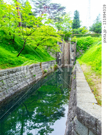 新緑に包まれた安積疏水の景色 新緑に包まれた安積疏水の景色 131994319