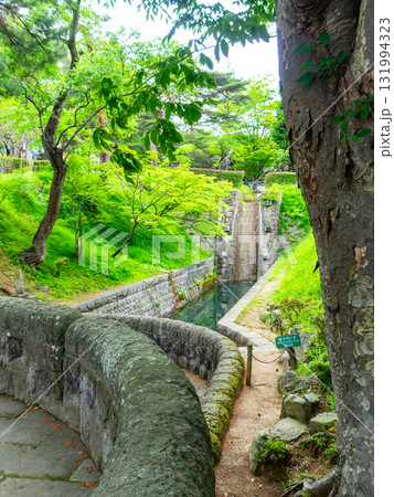 新緑に包まれた安積疏水の景色 131994323