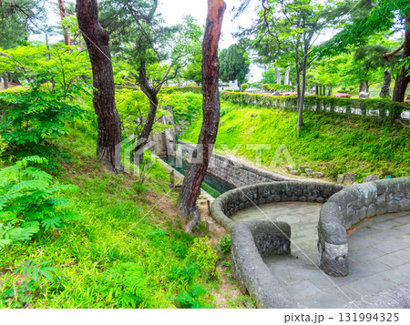 新緑に包まれた安積疏水の景色 131994325