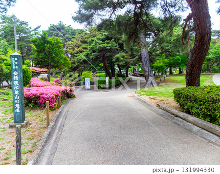 新緑に包まれた安積疏水の景色 131994330