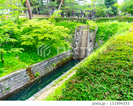 新緑に包まれた安積疏水の景色 131994333
