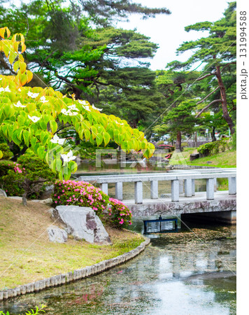 ヤマボウシの咲く麓山公園の夏景色 131994588