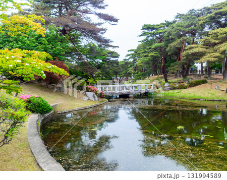 ヤマボウシの咲く麓山公園の夏景色 ヤマボウシの咲く麓山公園の夏景色 131994589