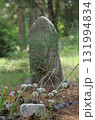 Flowers at Historic Cemetery in Rural East TX Troup City Cemetery 131994834