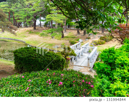 麓山公園の夏景色 麓山公園の夏景色 131994844