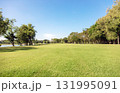 Expansive golf course fairway, perfect as a vibrant background for golf enthusiasts and sports-themed designs 131995091