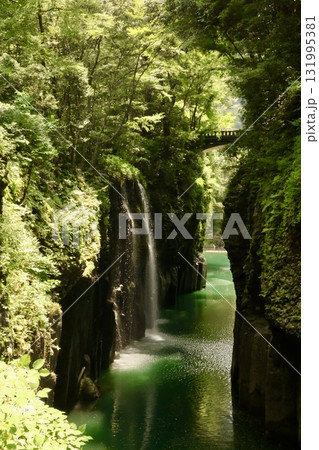新緑に包まれた高千穂峡 131995381