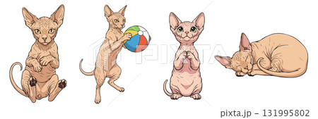 Sphynx cat action and emotion clipart set, isolated on transparent background. Sphynx cat action and emotion clipart set, isolated on transparent background. 131995802