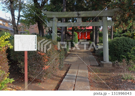 安行氷川神社にて（埼玉県川口市） 131996043