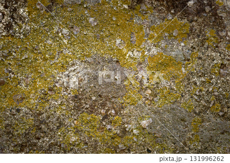 表面に苔の生えた茶色い石のクローズアップ。石や岩のテクスチャー 131996262