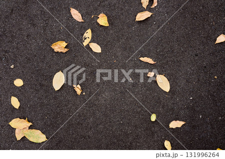 アスファルトに散らばる黄色い落ち葉。都市の背景素材 131996264