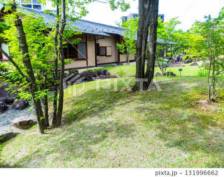 新緑の美しい風情豊かな庭園 131996662