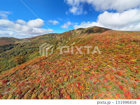 栗駒山の紅葉　空撮 131996816
