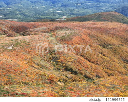 栗駒山の紅葉 空撮 栗駒山の紅葉 空撮 131996825