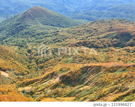 栗駒山の紅葉 空撮 栗駒山の紅葉 空撮 131996827