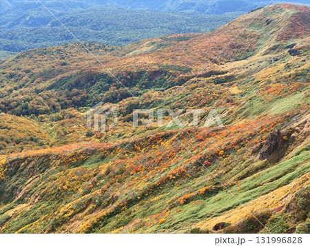 栗駒山の紅葉　空撮 131996828
