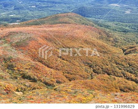 栗駒山の紅葉 空撮 栗駒山の紅葉 空撮 131996829