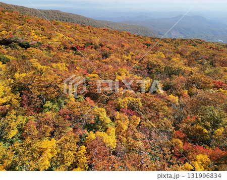 栗駒山の紅葉 空撮 栗駒山の紅葉 空撮 131996834
