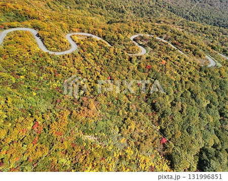 栗駒山の紅葉 空撮 栗駒山の紅葉 空撮 131996851
