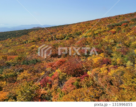栗駒山の紅葉　空撮 131996855