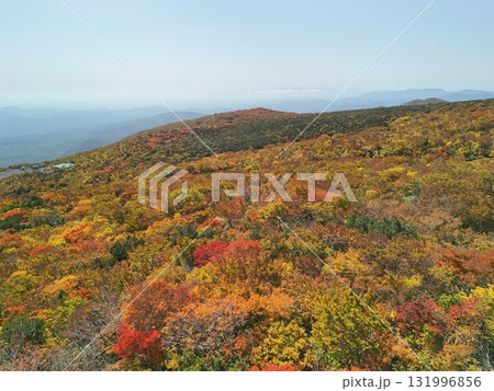 栗駒山の紅葉 空撮 栗駒山の紅葉 空撮 131996856