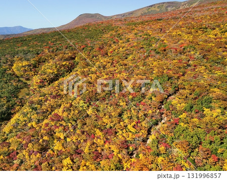 栗駒山の紅葉 空撮 栗駒山の紅葉 空撮 131996857