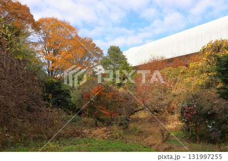 秋の猿貝貝塚／猿貝山貝塚と外環道（埼玉県川口市） 131997255