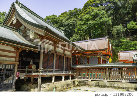 大分 柞原八幡宮 社殿 大分県大分市 大分 柞原八幡宮 社殿 大分県大分市 131998200