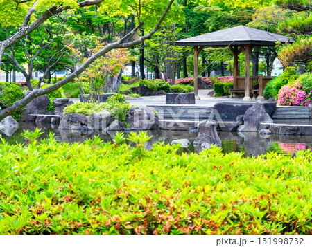 夏の公園の瑞々しく美しい景色 131998732