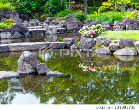 夏の公園の瑞々しく美しい景色 131998736