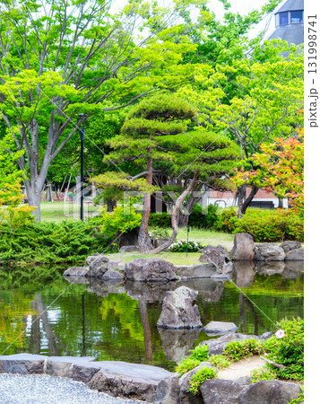 夏の公園の瑞々しく美しい景色 夏の公園の瑞々しく美しい景色 131998741