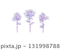 Rose3 131998788