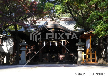 秋の川口神社：拝殿（埼玉県川口市） 131999013