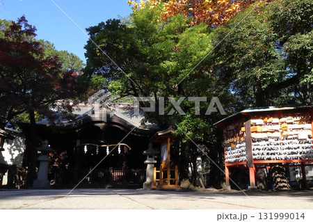 秋の川口神社:拝殿(埼玉県川口市) 秋の川口神社:拝殿(埼玉県川口市) 131999014