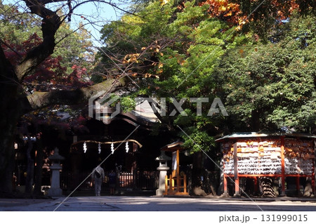 秋の川口神社：拝殿（埼玉県川口市） 131999015